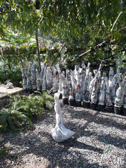 S  32022756